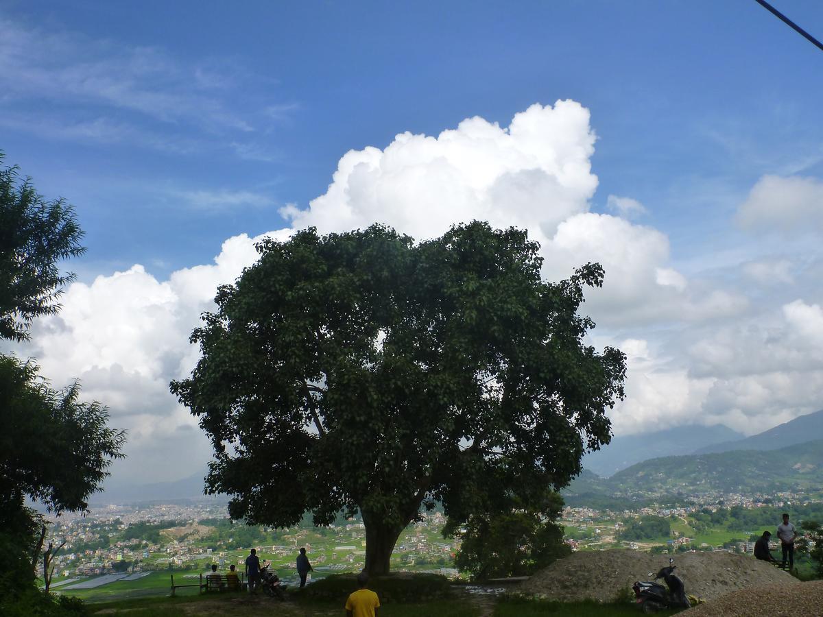 Star View Guest House Bhaktapur Exterior foto